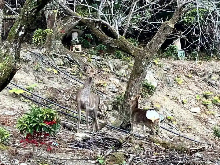 速川神社(宮崎県)