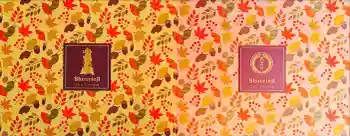 勝林寺の御朱印帳