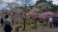 龍尾神社(静岡県)