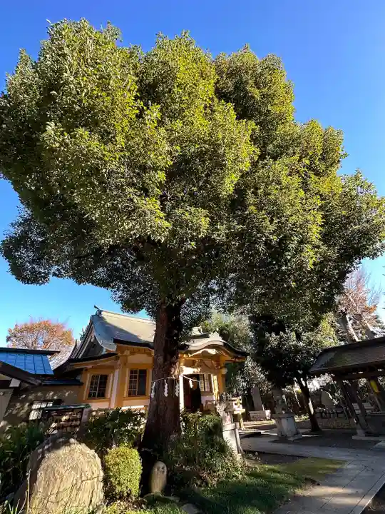 若宮神社の自然