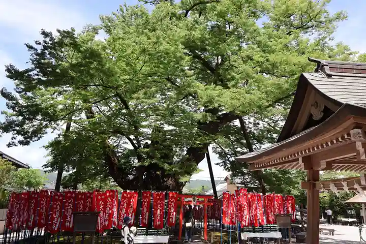 秩父今宮神社(埼玉県)