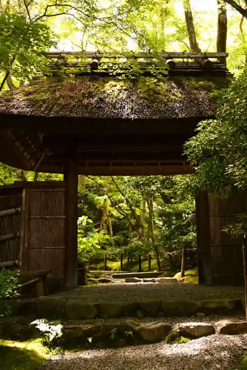 祇王寺(京都府)