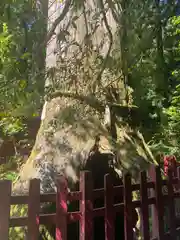 箱根神社(神奈川県)