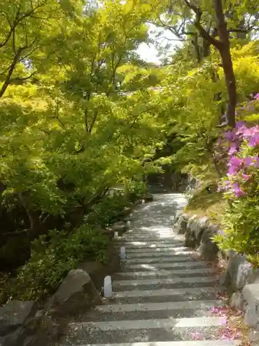 東福禅寺（東福寺）のその他建物