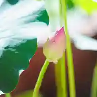 浄土寺(兵庫県)