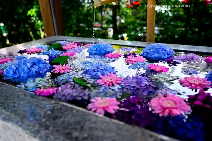 桜神宮(東京都)