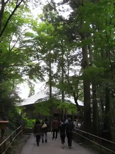 中尊寺金色堂(岩手県)