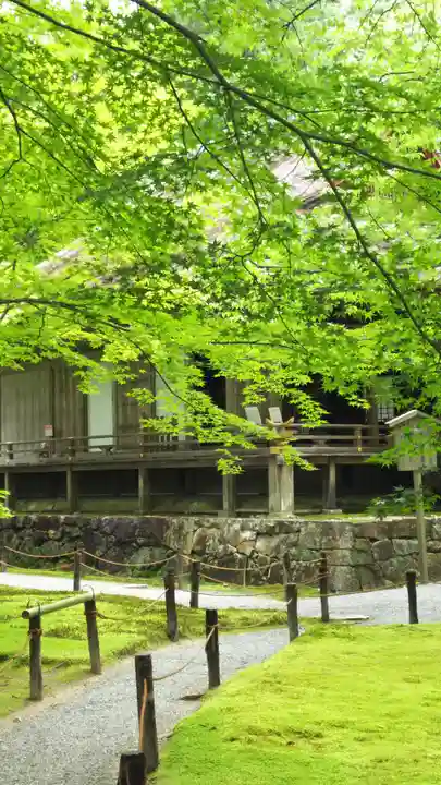 三千院門跡のその他建物