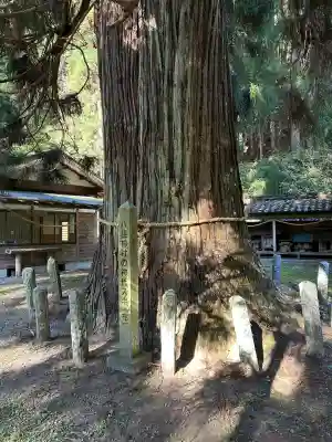 八柱神社(長野県)