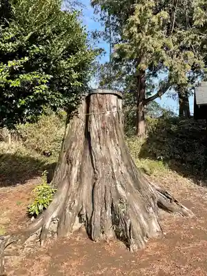 天満宮(栃木県)