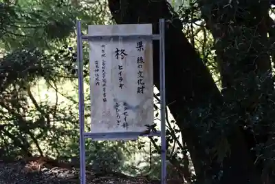 高木神社の自然