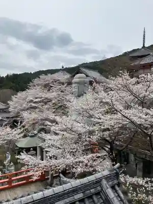 南法華寺（壷阪寺）(奈良県)