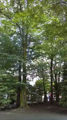 日枝神社水天宮のその他建物