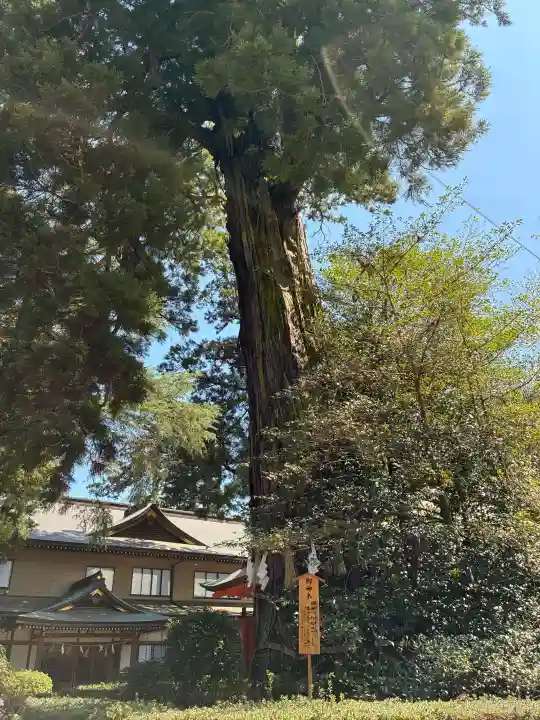 香取神宮の{uncategorized: "未分類", other: "その他", undefined: "問題あり", building: "その他建物", grave: "お墓", sacred_gate: "鳥居", guardian: "狛犬", statue: "像", buddha: "仏像", history: "歴史", nature: "自然", garden: "庭園", animal: "動物", pagoda: "塔", temizu: "手水舎", mountain_gate: "山門・神門", sanctuary: "本殿・本堂", subordinate: "末社・摂社", art: "芸術", scenery: "景色", jizo: "地蔵", ema: "絵馬", goshuin: "御朱印", omikuji: "おみくじ", items: "授与品その他", amulet: "お守り", goshuincho: "御朱印帳", eats: "食事", festival: "お祭り", votive_dance: "神楽", shichigosan: "七五三参", wedding: "結婚式", experience: "体験その他", initially: "初詣", around: "周辺", anti_infection: "感染症対策"}