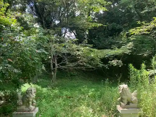 妙見神社の狛犬