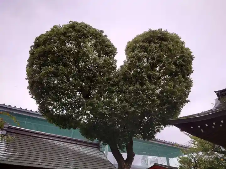 南宮宇佐八幡神社(脇浜神社)(兵庫県)