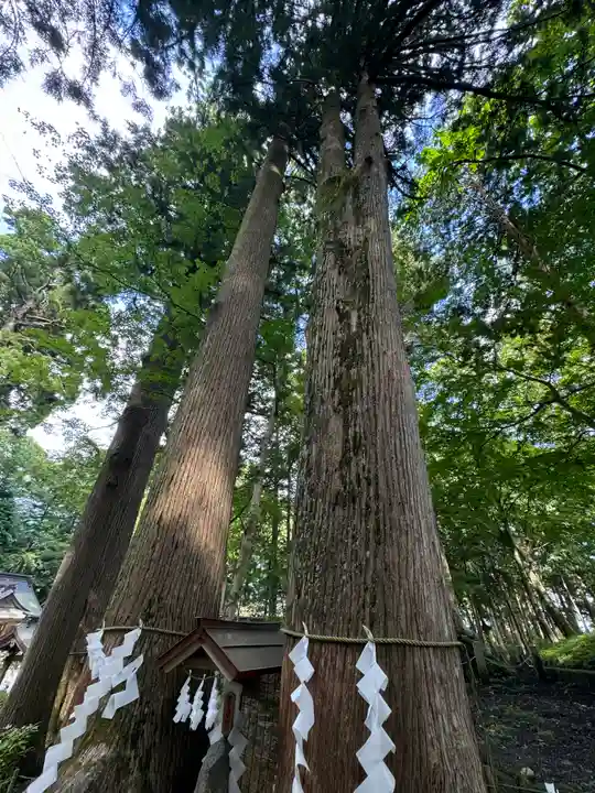 富士山東口本宮 冨士浅間神社(静岡県)