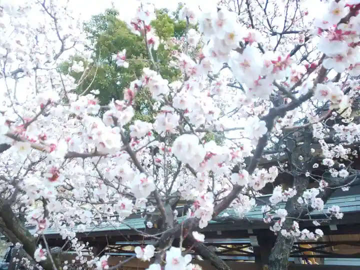湯島天満宮の庭園