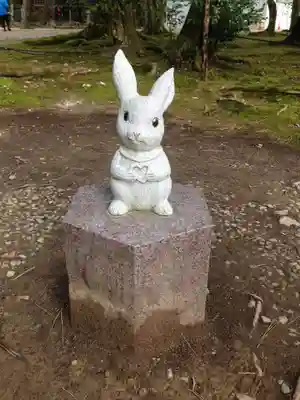 出雲大社の狛犬