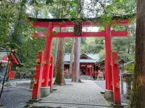 椿岸神社の鳥居