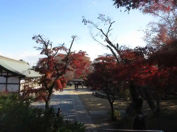 本土寺(千葉県)