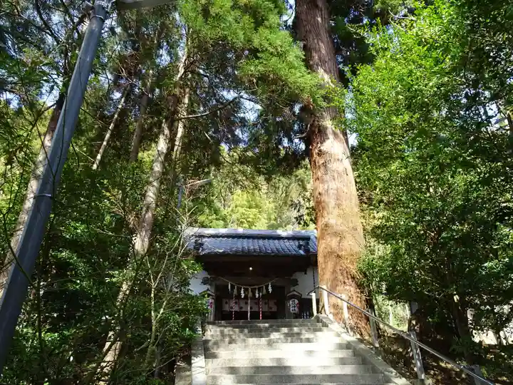 田間神社の本殿・本堂