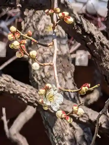 高円寺(東京都)