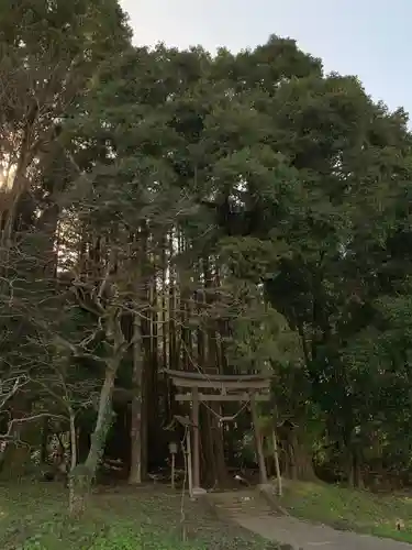 白山神社の鳥居