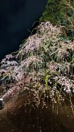 東寺（教王護国寺）(京都府)