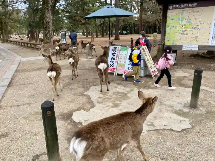 興福寺(奈良県)
