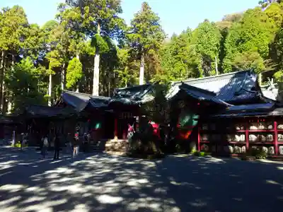 箱根神社の本殿・本堂