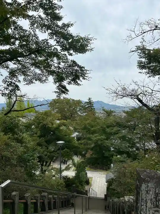 達磨寺(群馬県)