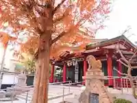 二宮神社の本殿・本堂