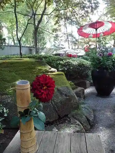 上野東照宮の庭園