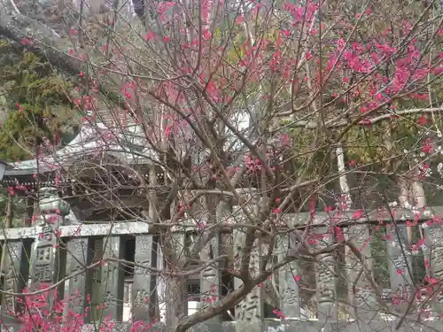御霊神社の自然