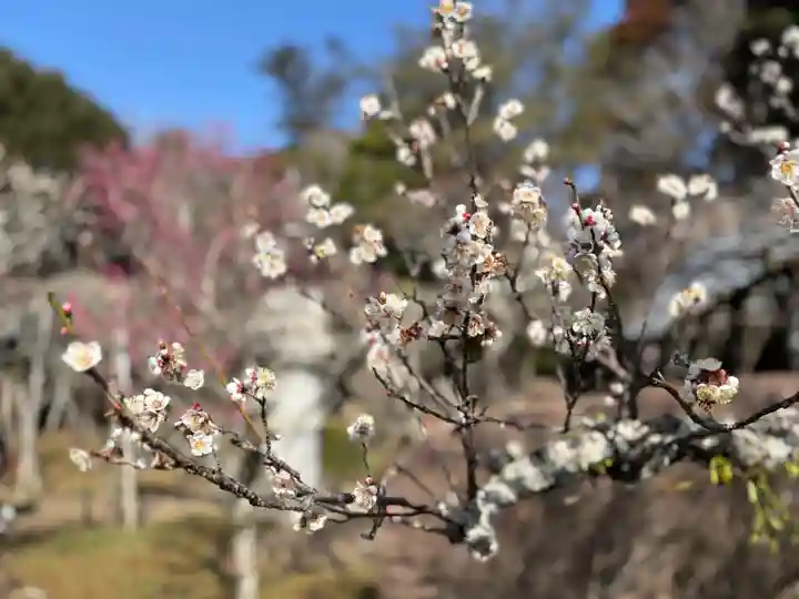 成田山新勝寺(千葉県)