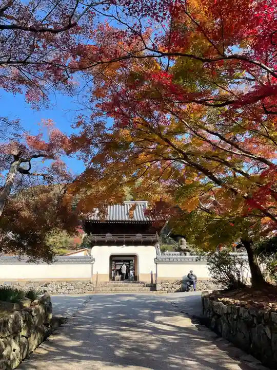 興聖寺(興聖寶林禅寺)(京都府)