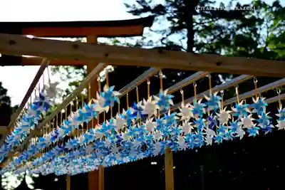 川越氷川神社(埼玉県)