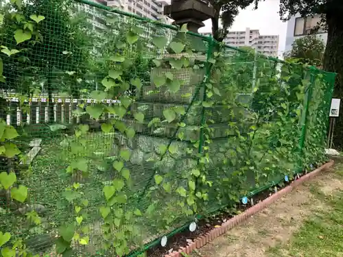 多奈波太神社の自然