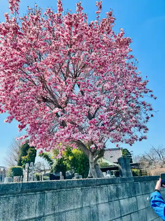 龍泉寺 (福居町)の{uncategorized: "未分類", other: "その他", undefined: "問題あり", building: "その他建物", grave: "お墓", sacred_gate: "鳥居", guardian: "狛犬", statue: "像", buddha: "仏像", history: "歴史", nature: "自然", garden: "庭園", animal: "動物", pagoda: "塔", temizu: "手水舎", mountain_gate: "山門・神門", sanctuary: "本殿・本堂", subordinate: "末社・摂社", art: "芸術", scenery: "景色", jizo: "地蔵", ema: "絵馬", goshuin: "御朱印", omikuji: "おみくじ", items: "授与品その他", amulet: "お守り", goshuincho: "御朱印帳", eats: "食事", festival: "お祭り", votive_dance: "神楽", shichigosan: "七五三参", wedding: "結婚式", experience: "体験その他", initially: "初詣", around: "周辺", anti_infection: "感染症対策"}