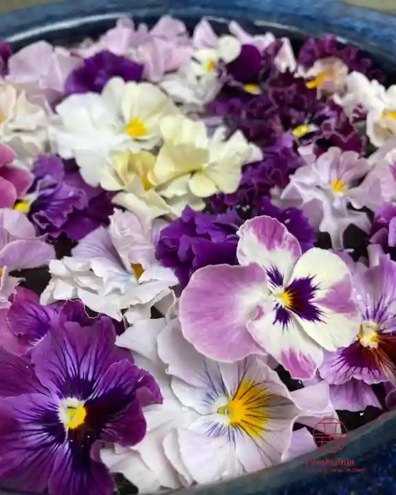 立志神社(滋賀県)