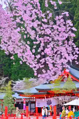 金櫻神社(山梨県)