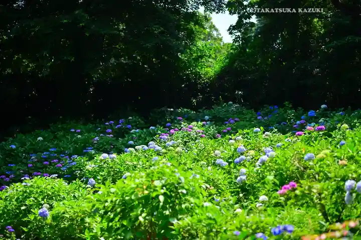 妙楽寺(神奈川県)