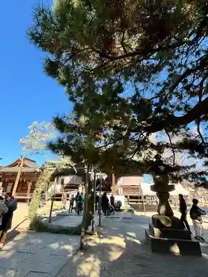 葛飾八幡宮(千葉県)
