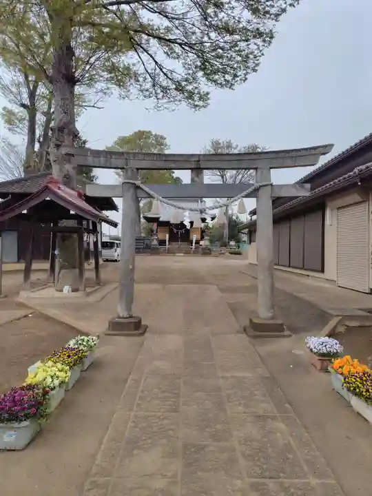 諏訪神社(埼玉県)