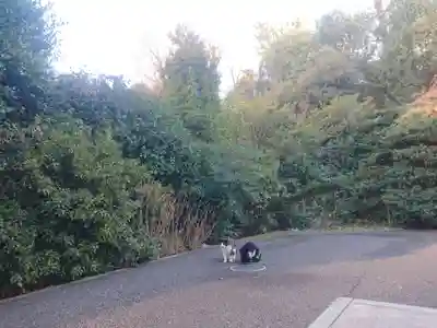 白金氷川神社のその他建物