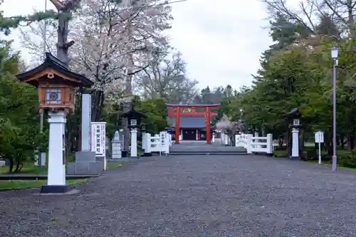 北海道護國神社の景色