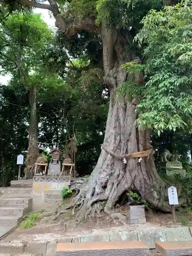 揖夜神社の自然