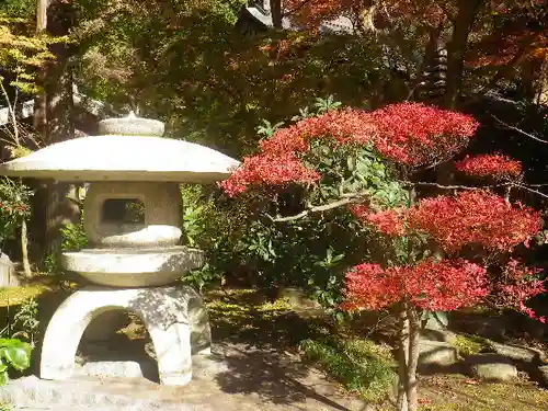 覚園寺の庭園