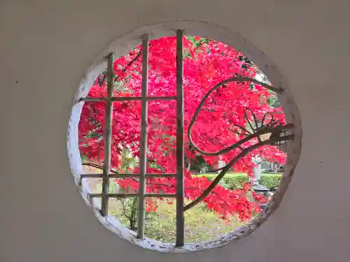 興聖寺(滋賀県)